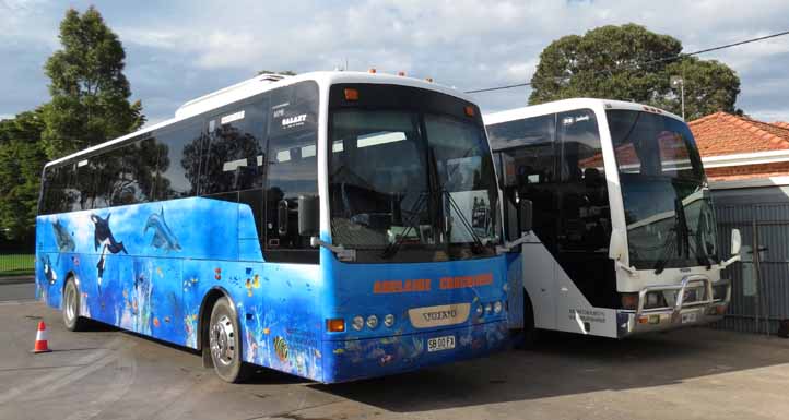 Adelaide Coachlines Volvo B7R AB Denning Galaxy 49